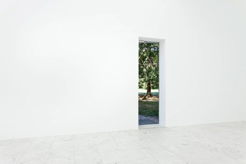 View through a doorway in a wall