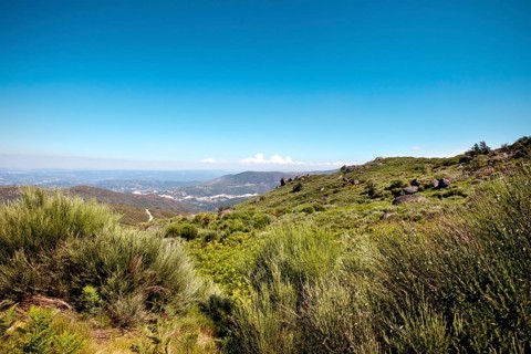 Landscape in the Douro region