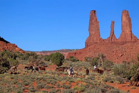 Navajo cowboys with Mustangs