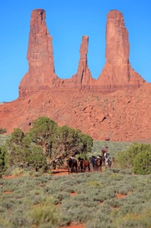 Navajo cowboy with Mustangs