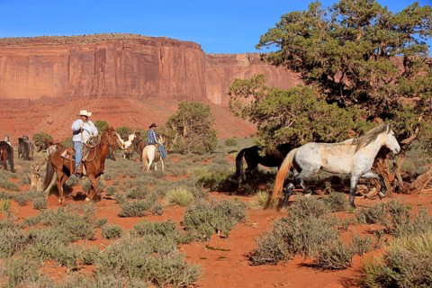 Navajo cowboys with Mustangs