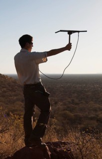 Man locating a leopard with a tracking device