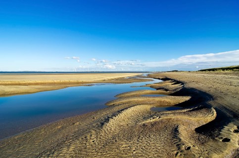 Landscape with dunes in the Deltapark region
