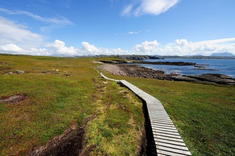 Boardwalk leading through the marshy areas around the island of Handa