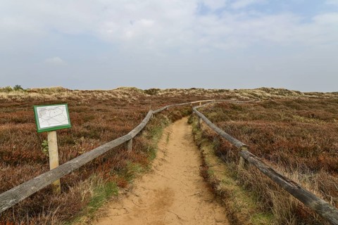 Hiking trail to Morsumer Cliff