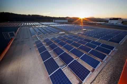 Solar energy plant at sunset