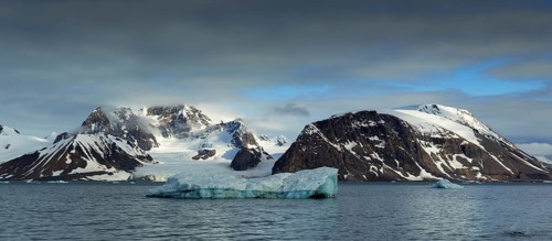 Fjord with ice floes