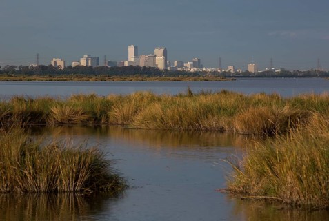 Downtown New Orleans