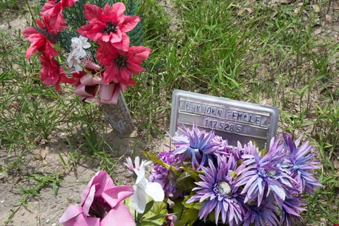 Grave on the Sacred Heart Cemetery where the remains of unidentified migrants are buried