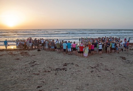 A large crowd gathering as staff and volunteers release newly-hatched turtles into the Gulf of Mexico at dawn