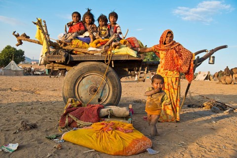 Four children sitting on a camel cart
