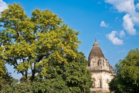 Parvati temple amidsts trees