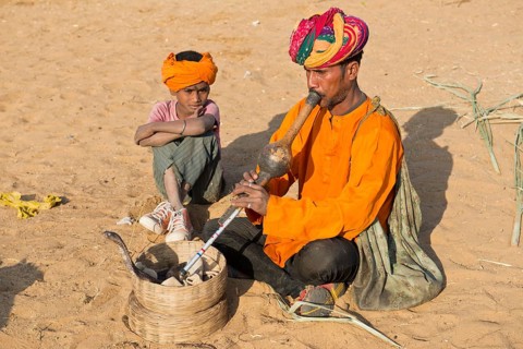 Rajasthani snake charmer with a turban
