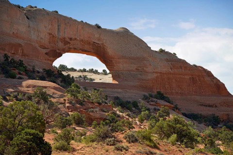 Wilson Arch