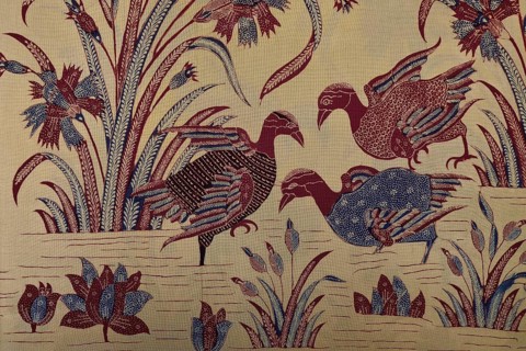 Water birds