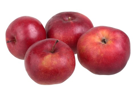 Apple variety Danzig Kant