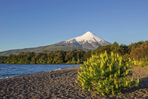 Osorno volcano and the shore of the bay of Lake Llanquihue