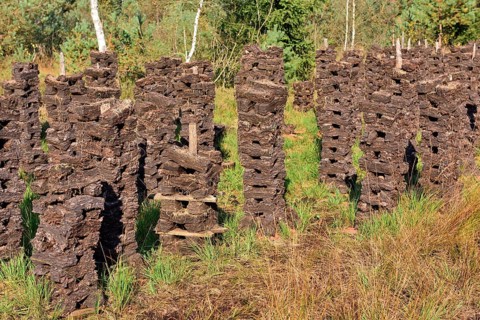 Stacks of peat sods left or drying in the traditional manner