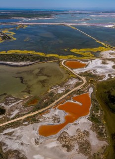 Salt patterns on the surface of salt marshes