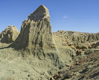 Petrified forest Bosque Petrificado National Monument