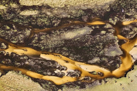 Freshwater marshes with sandy streams