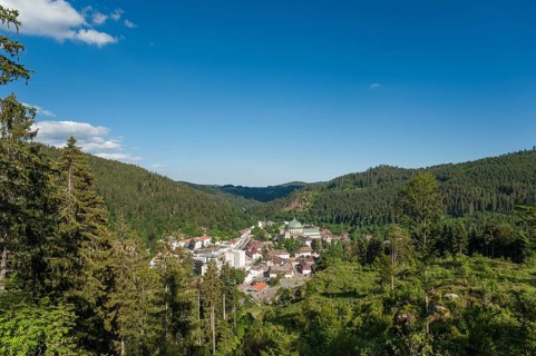 View from Mt Weissenstein