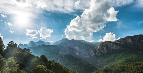 Rocky landscape with pines and cloudy sky