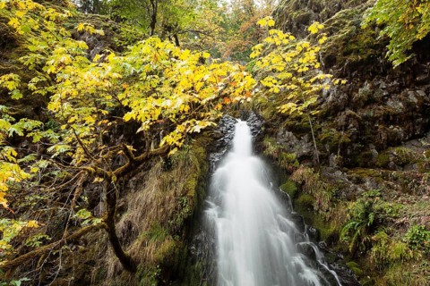 Fall Creek Falls