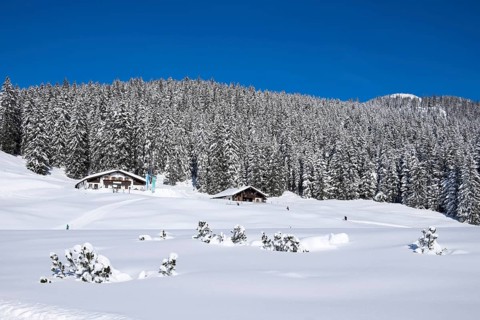 Traunstein Hut