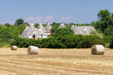 Stubble field