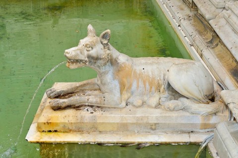 She-wolf spouting water in the Fonte Gaia fountain