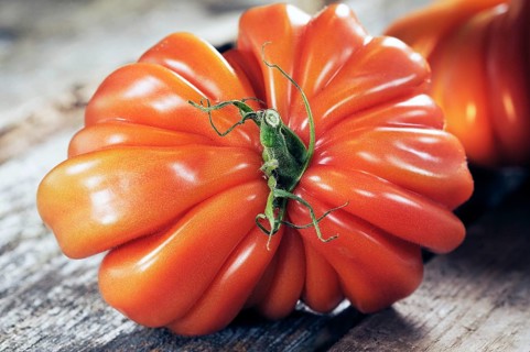 Oxheart tomato on a wooden board