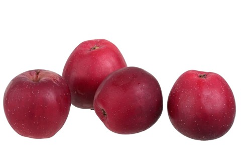 Apple variety New Bernese Rose Apple