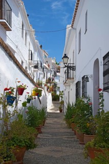 Alley with potted plants