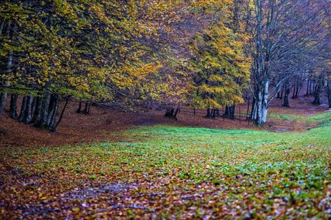 Autumn on Pian delle Macinare