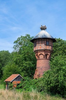 Young White storks (Ciconia ciconia) in the nest on the roof of a water tower in the village Ruhstadt