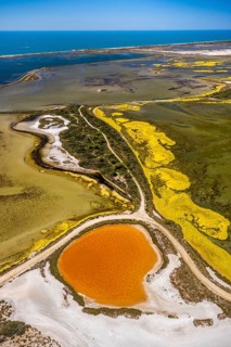 Salt patterns on the surface of salt marshes