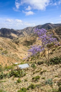 Mountain scenery along the road from Massawa to Asmarra