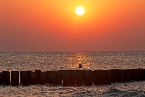 Evening sun on the Baltic Sea