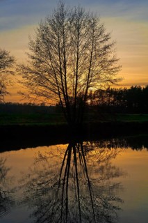 Evening atmosphere