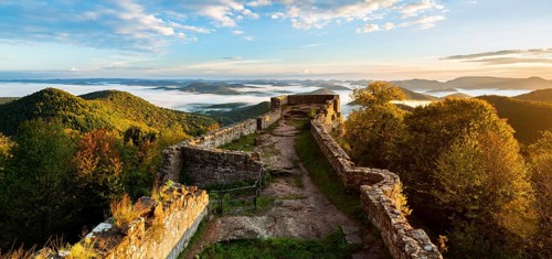 View of the Palatinate Forest from Wegelnburg Castle