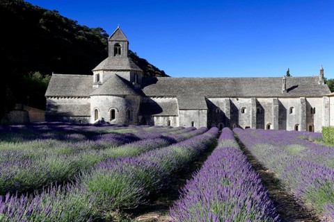 Cistercian abbey Abbaye Notre-Dame de Senanque