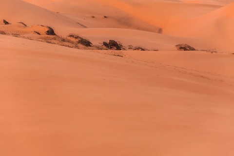 The red sand dunes of MÅ©i Ne
