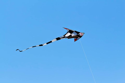 Black and white checkered kite with red wing tips flying in a blue sky