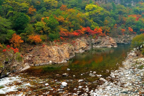 Black River in autumn landscape