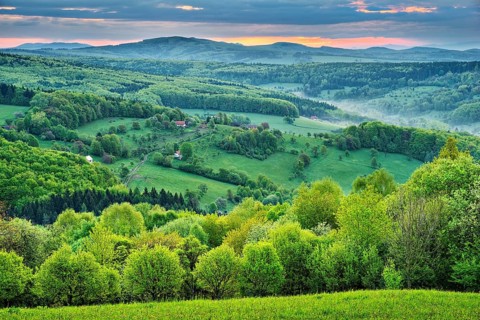 Landscape