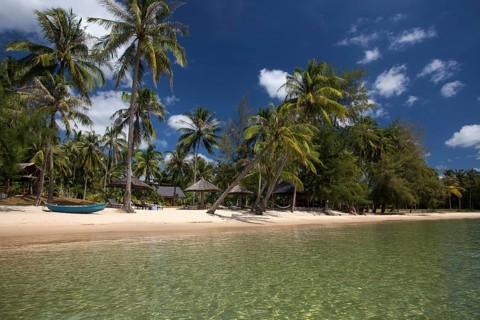 Beach with coconut trees
