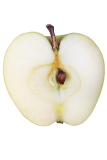 Apple variety Yellow Saxon Reinette