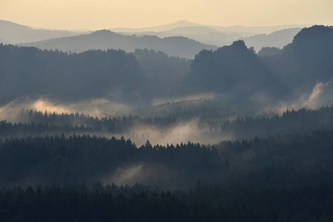 Fog and haze in the morning in the Elbe Sandstone Mountains