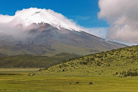 Snow-covered summit of Cotopaxi volcano rises from a cloud cover